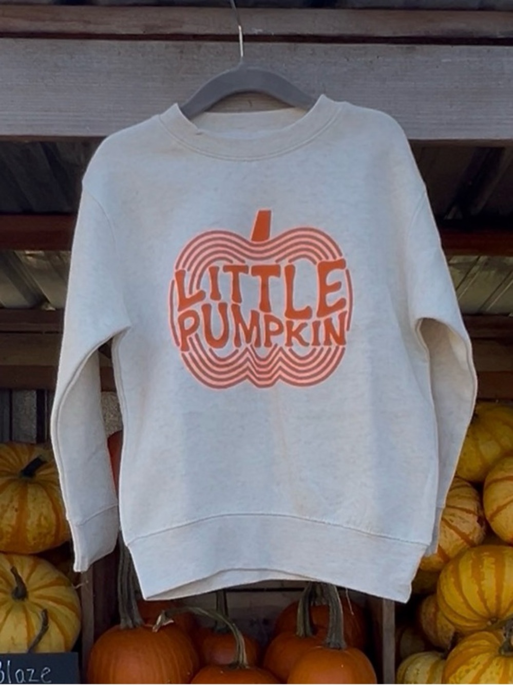 Little Pumpkin Cozy Fall Toddler Sweatshirt - SIZE 3T